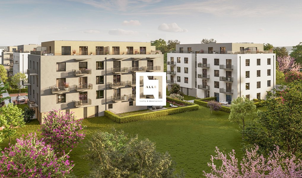 Pronájem bytu 1+kk 27 m², Ostrava – náhled fotky 10