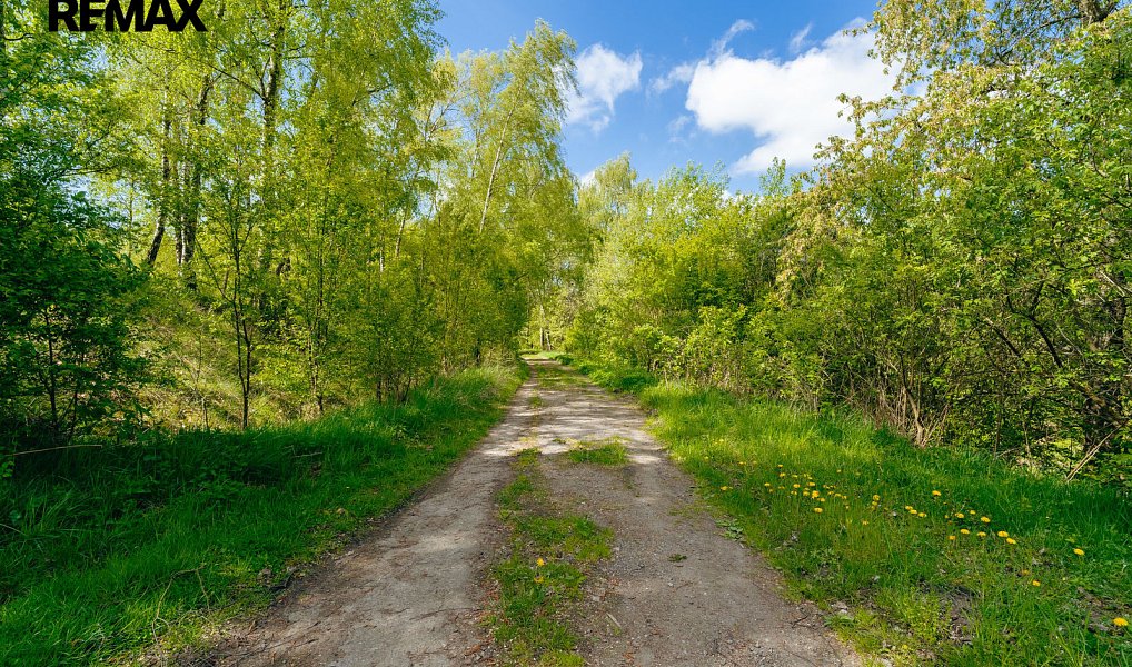 Prodej vodní plochy 8 716 m², Střítež – náhled fotky 9
