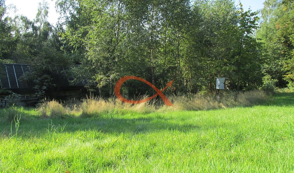 Prodej pozemku 4 310 m², Prostřední Bečva – náhled fotky 9