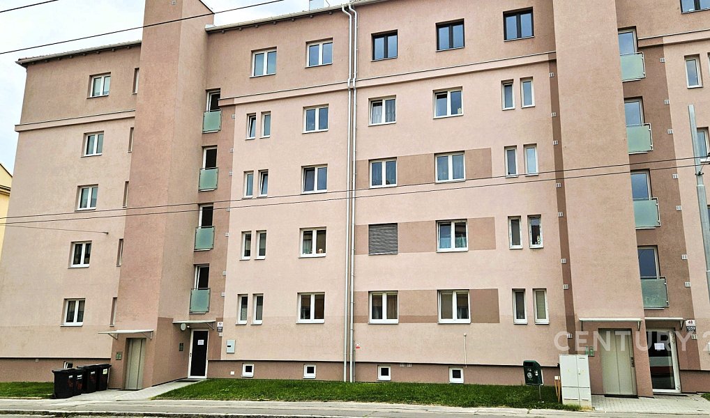 Prodej bytu 3+1 79 m², Brno – náhled fotky 2