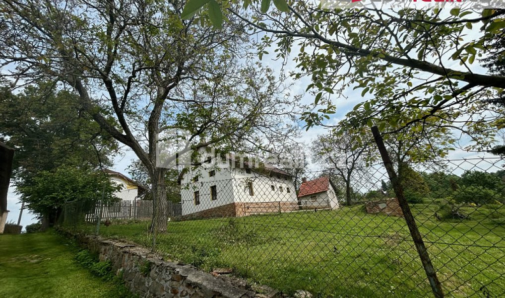 Prodej domu 240 m² s pozemkem 2 614 m², Chlístovice – náhled fotky 6