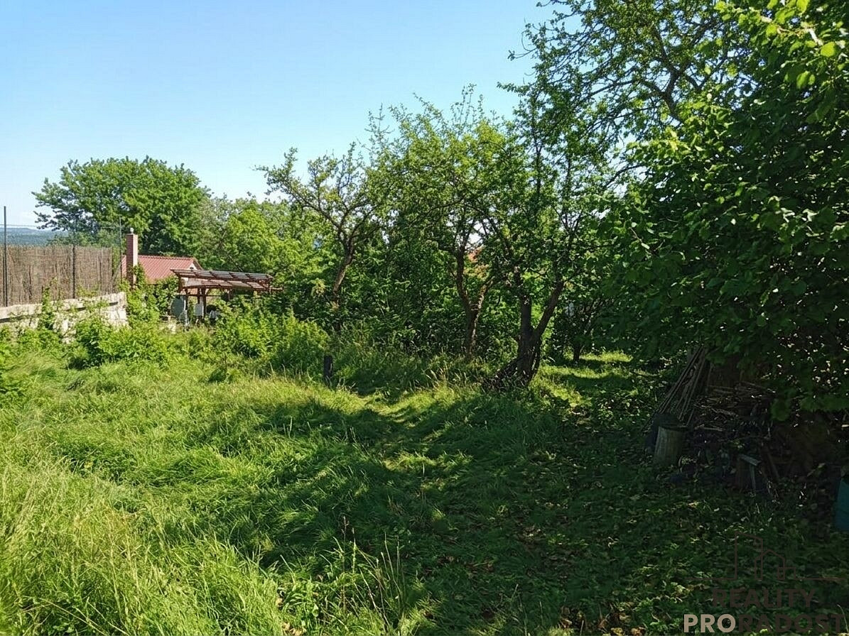 Fotka 10 z 12