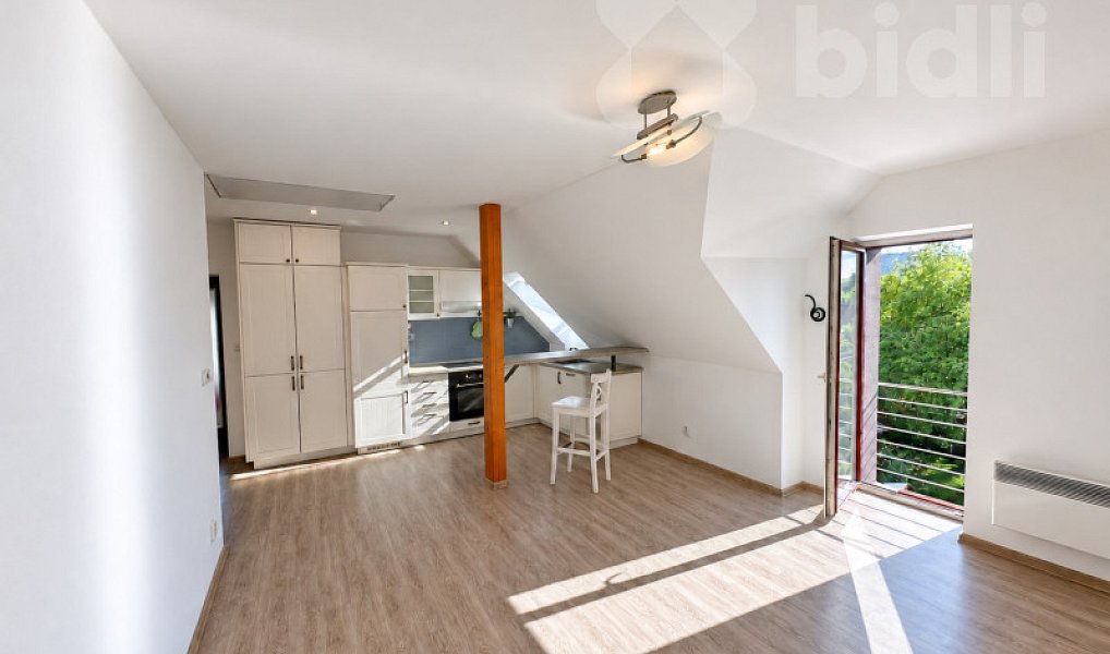 Pronájem bytu 2+kk, 58 m², Černice - Plzeň-město, Plzeň