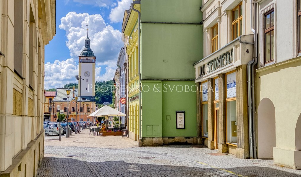 Prodej domu 219 m² s pozemkem 729 m², Hranice – náhled fotky 26