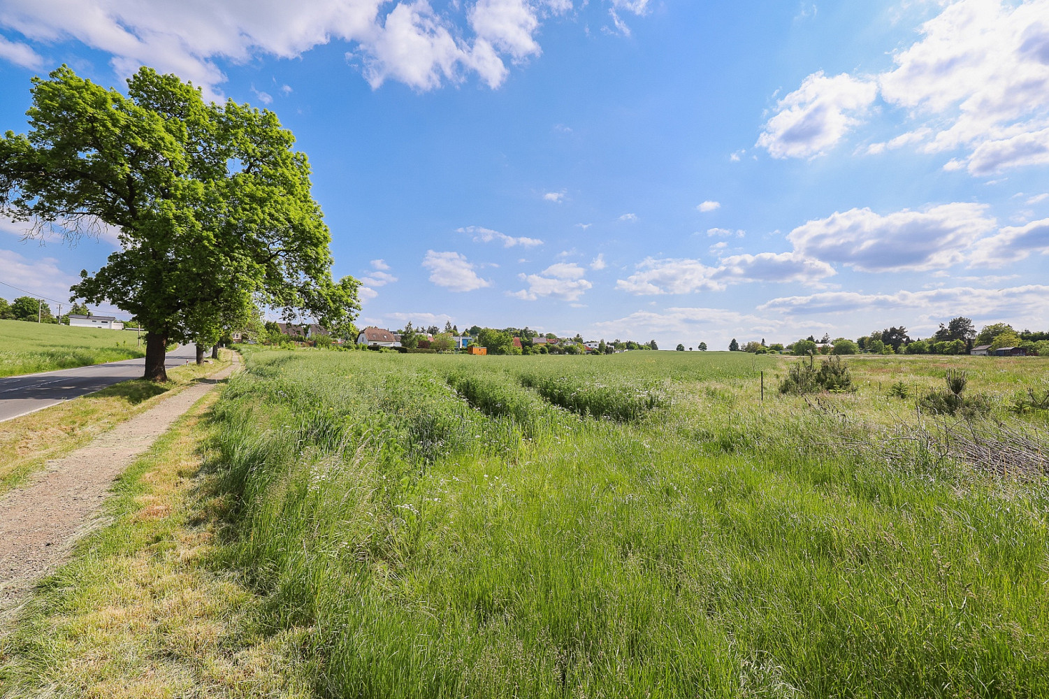 Prodej komerčního pozemku 11 768 m² – fotografie 2