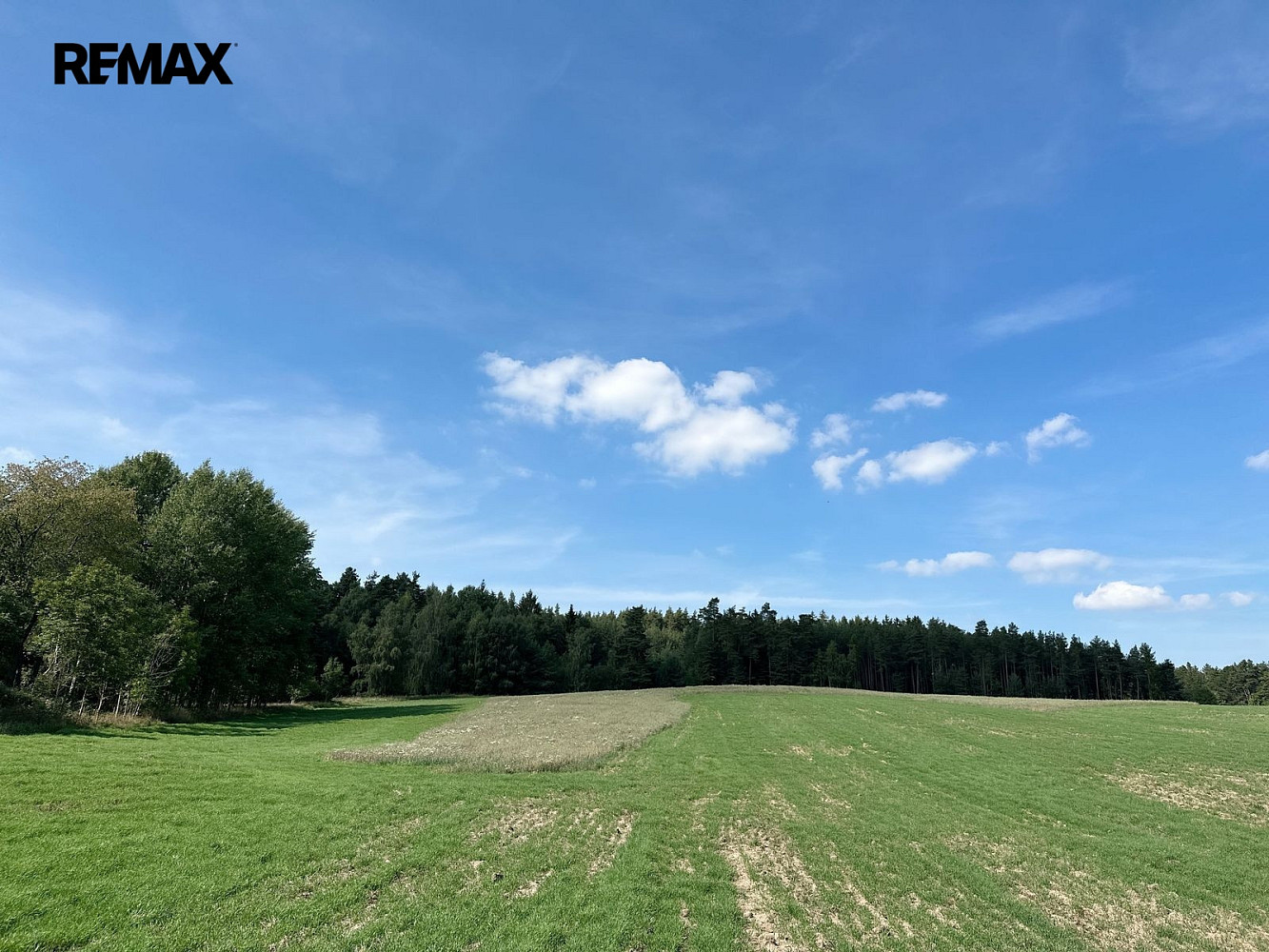 Prodej lesa 12 651 m² – fotografie 2