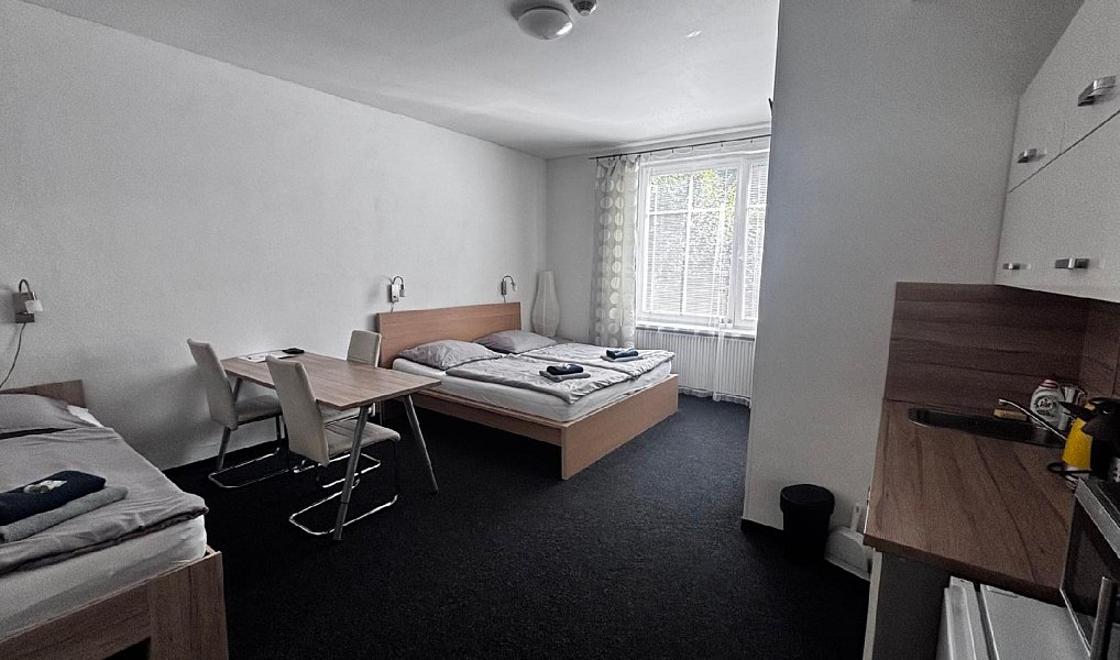 Pronájem bytu 1+kk 25 m², Ostrava – náhled fotky 9