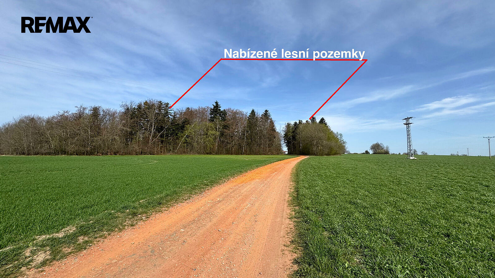 Prodej lesa 25 088 m² – fotografie 3