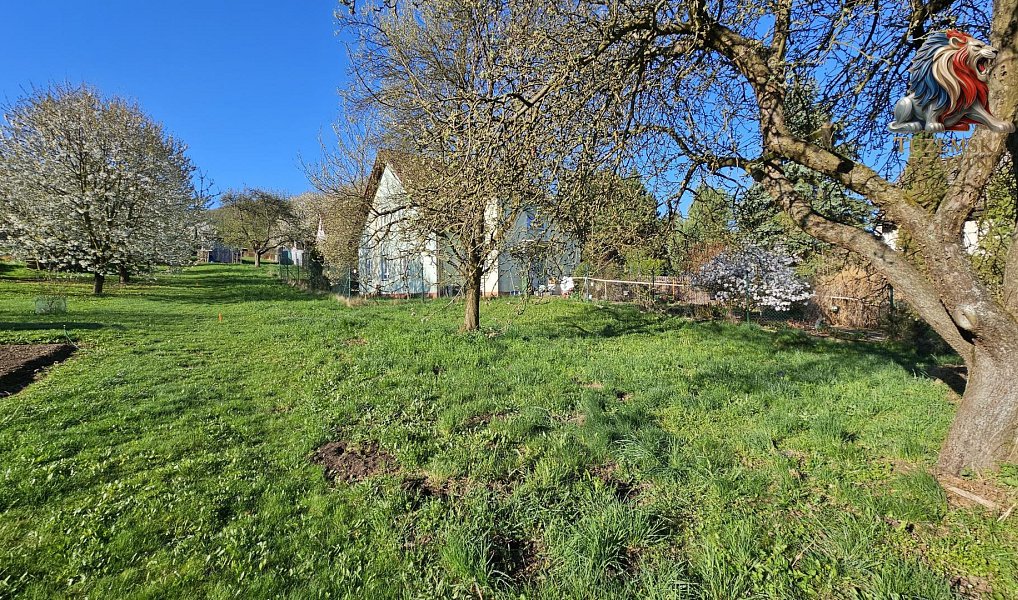 Prodej chaty/chalupy 82 m² s pozemkem 1 722 m², Boskovice – náhled fotky 4
