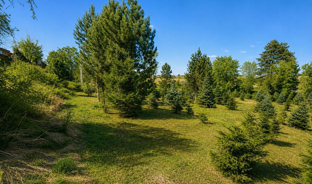 Prodej stavebního pozemku 971 m², Popůvky – náhled fotky 16