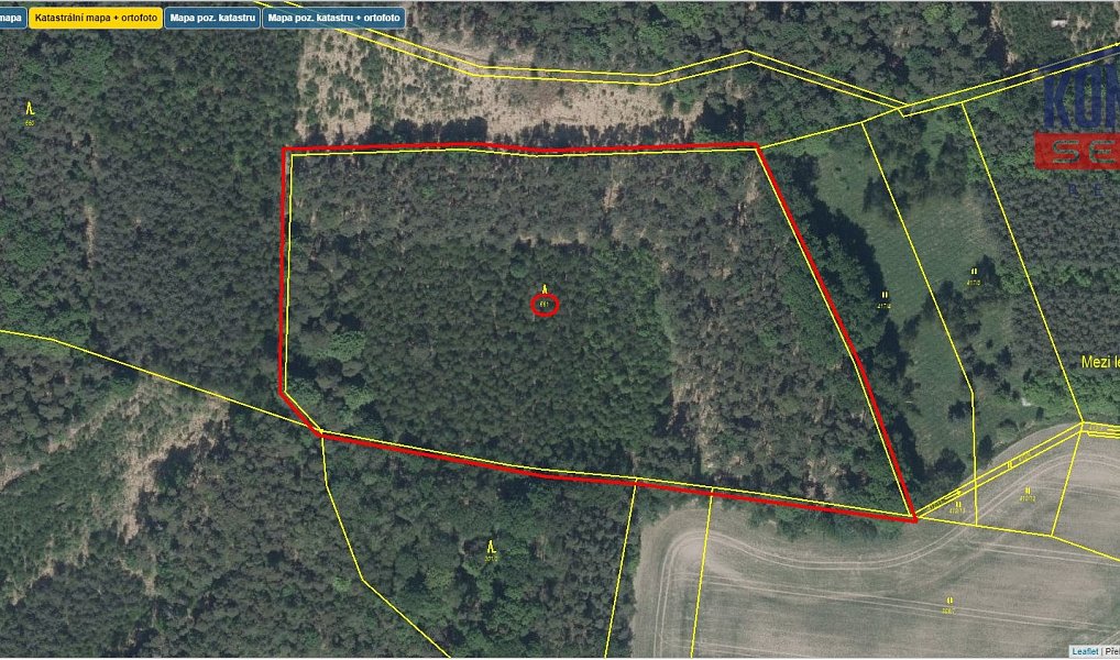 Prodej lesa 32 004 m², Bačalky – náhled fotky 3