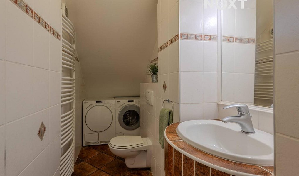 Prodej domu 285 m² s pozemkem 1 291 m², Bílovice nad Svitavou – náhled fotky 10