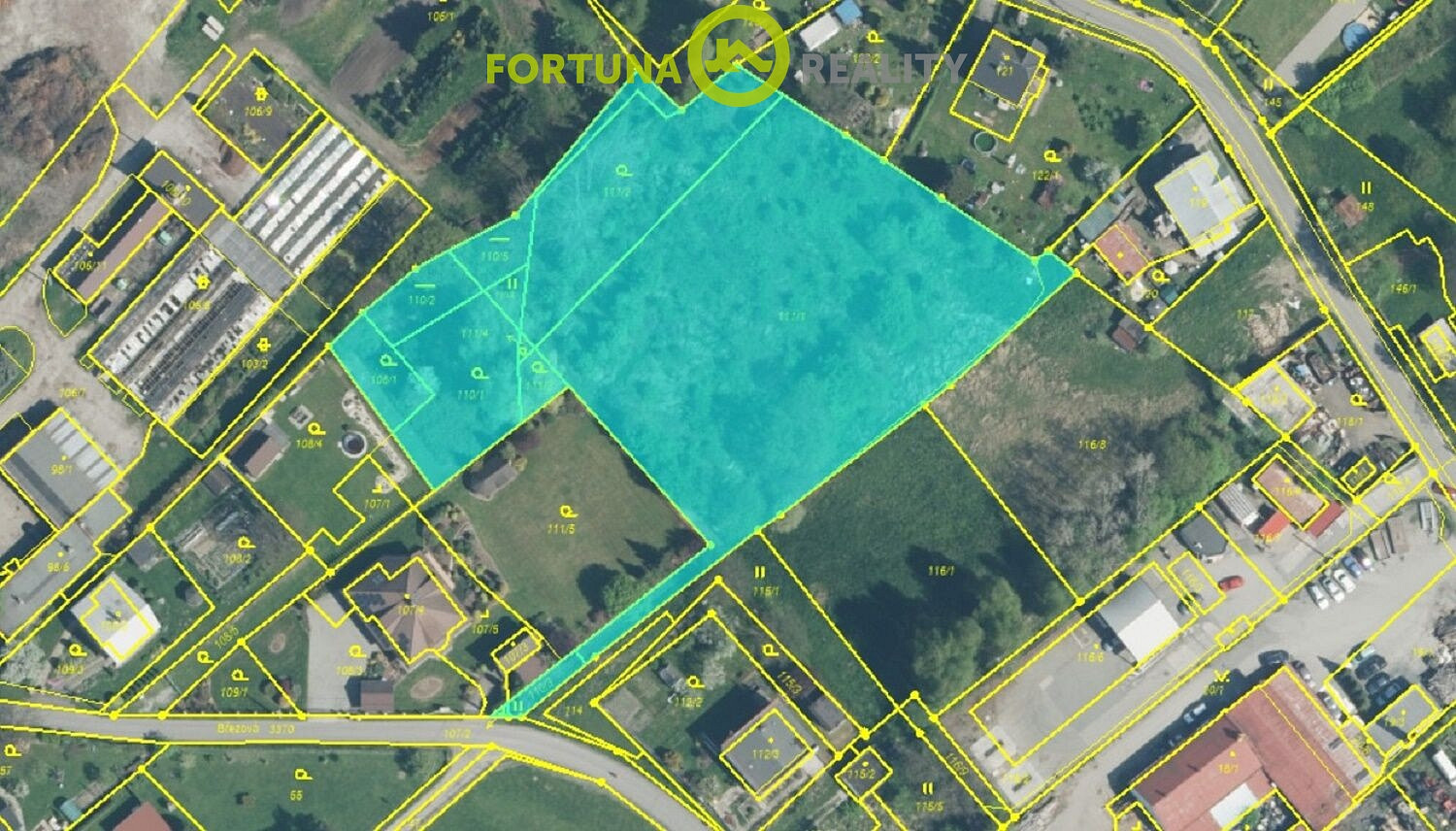Fotka 11 z 12