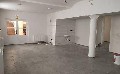 Pronájem komerčního objektu (jiného typu) 100 m², Olomouc