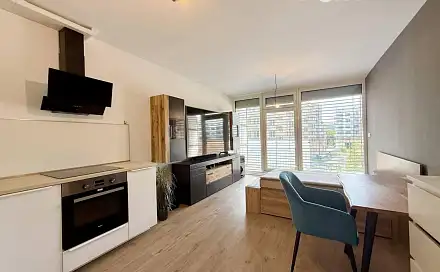 Pronájem bytu 1+kk 34 m², Wittgensteinova, Olomouc