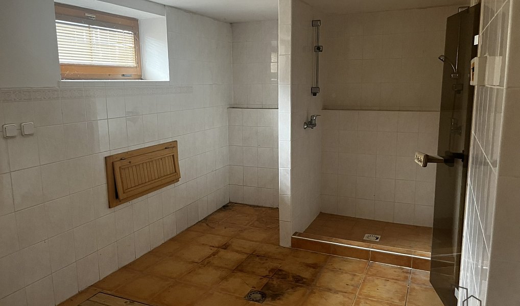 Prodej domu 160 m² s pozemkem 4 055 m², Podhradní Lhota – náhled fotky 47