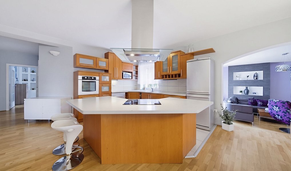 Prodej domu 300 m² s pozemkem 1 491 m², Luženičky – náhled fotky 12