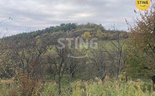 Prodej pozemku 4 839 m², Koryčany - Blišice, okres Kroměříž