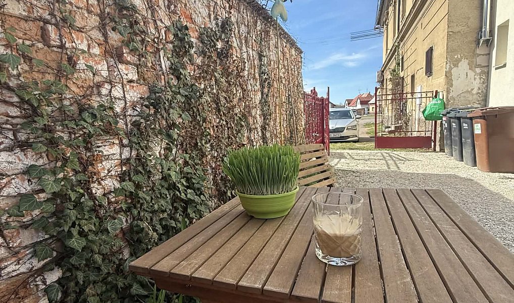 Pronájem bytu 2+kk 35 m², Albrechtice nad Orlicí – náhled fotky 10