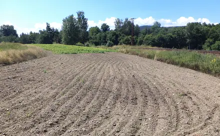 Prodej pozemku 15 644 m², Stráž, okres Tachov