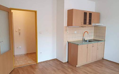 Pronájem bytu 1+kk 24 m², Horní hejčínská, Olomouc - Hejčín