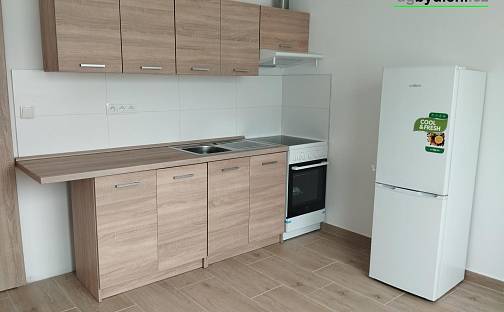 Pronájem bytu 3+kk 45 m², Dnešice, okres Plzeň-Jih
