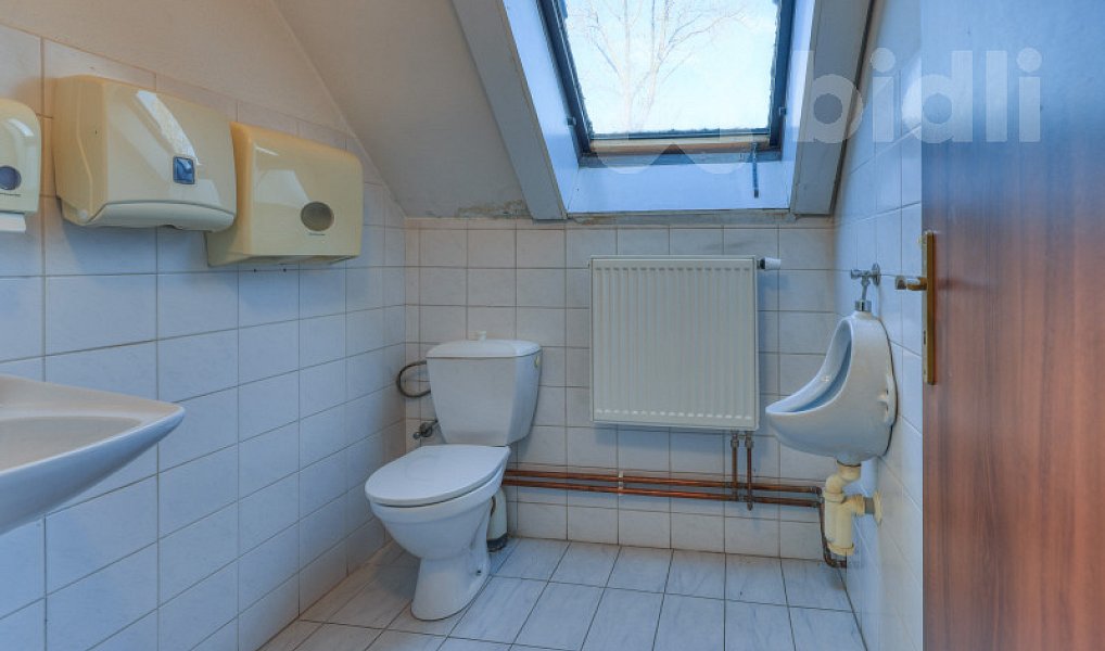 Pronájem skladovacích prostor 280 m², Dolní Bousov – náhled fotky 22
