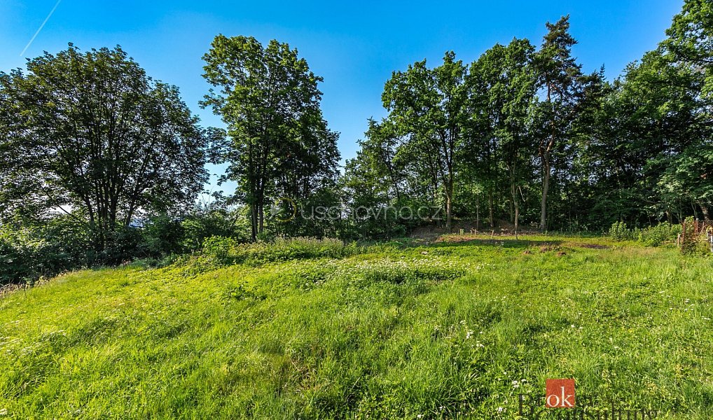 Prodej pozemku 1 256 m², Horšovský Týn – náhled fotky 2