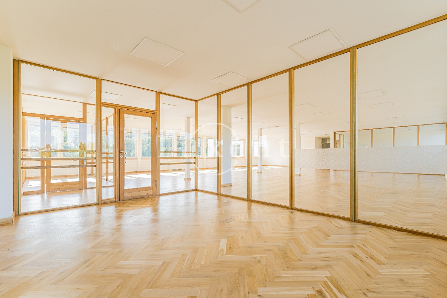 Pronájem kanceláře 257 m² – fotografie 5