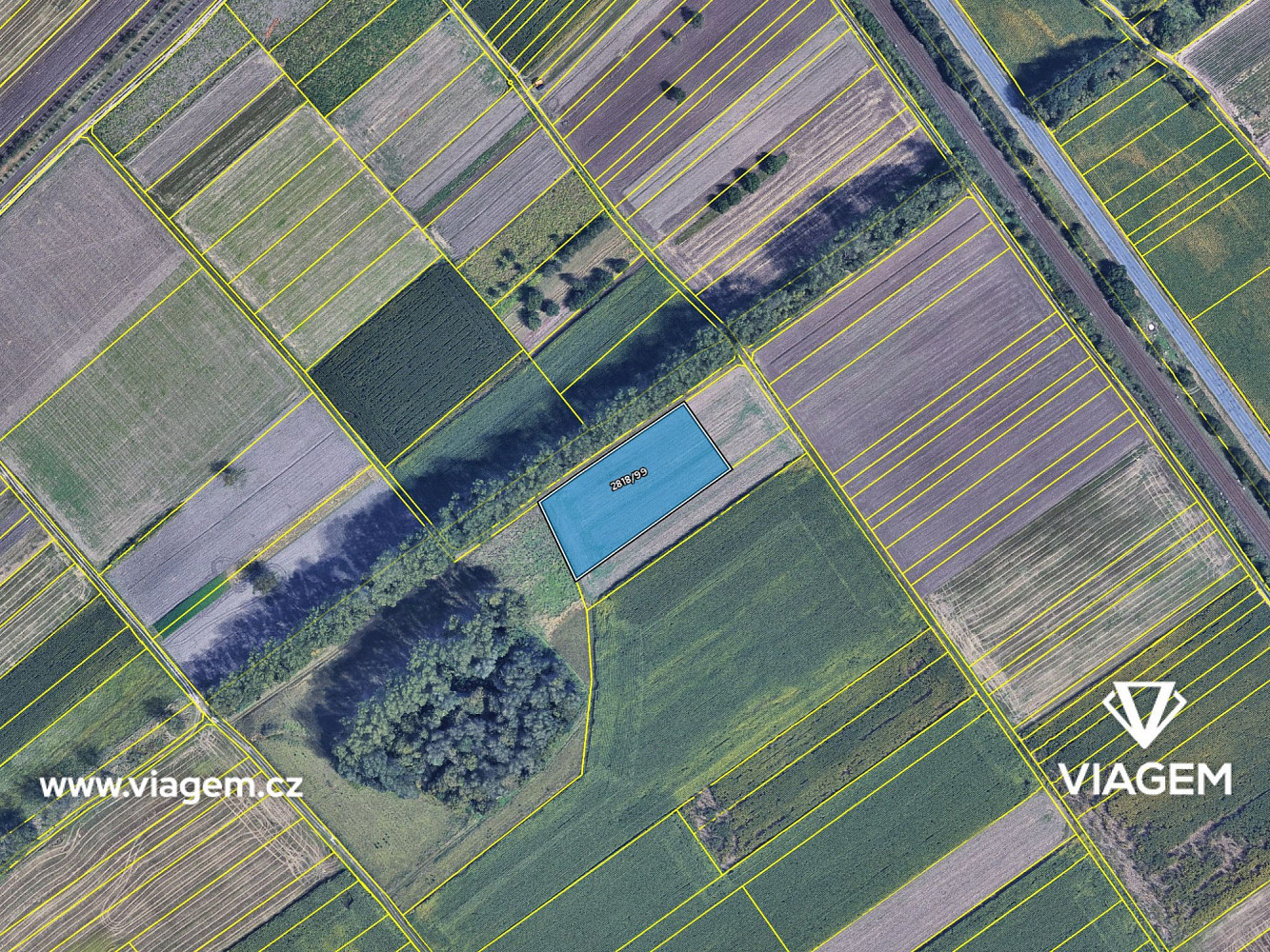 Prodej pole 4 035 m² – fotografie 4