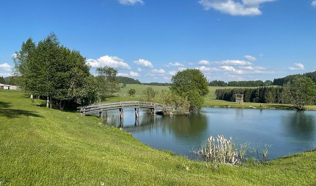 Prodej domu 472 m² s pozemkem 19 274 m², Malšín – náhled fotky 3