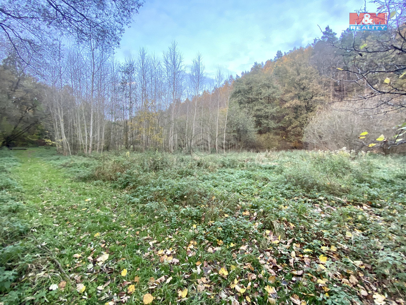 Prodej zahrady 1 730 m²