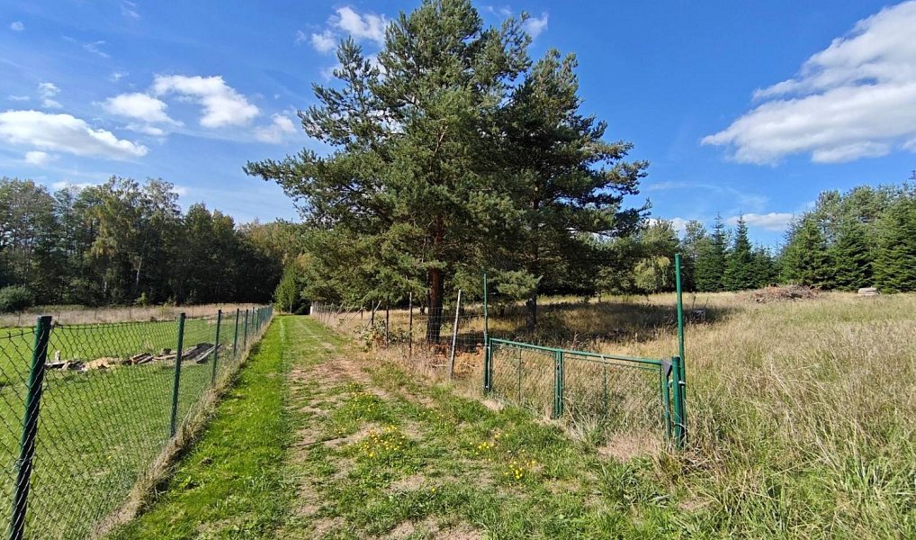 Prodej stavebního pozemku 2 076 m², Františkovy Lázně – náhled fotky 6