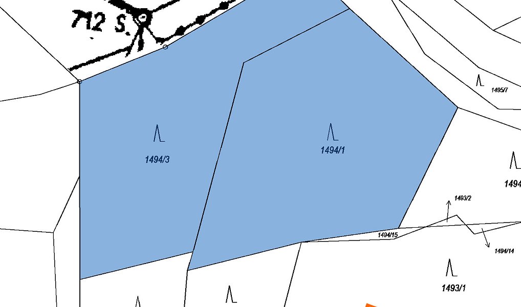 Prodej lesa 1 094 m², Spytihněv – náhled fotky 2