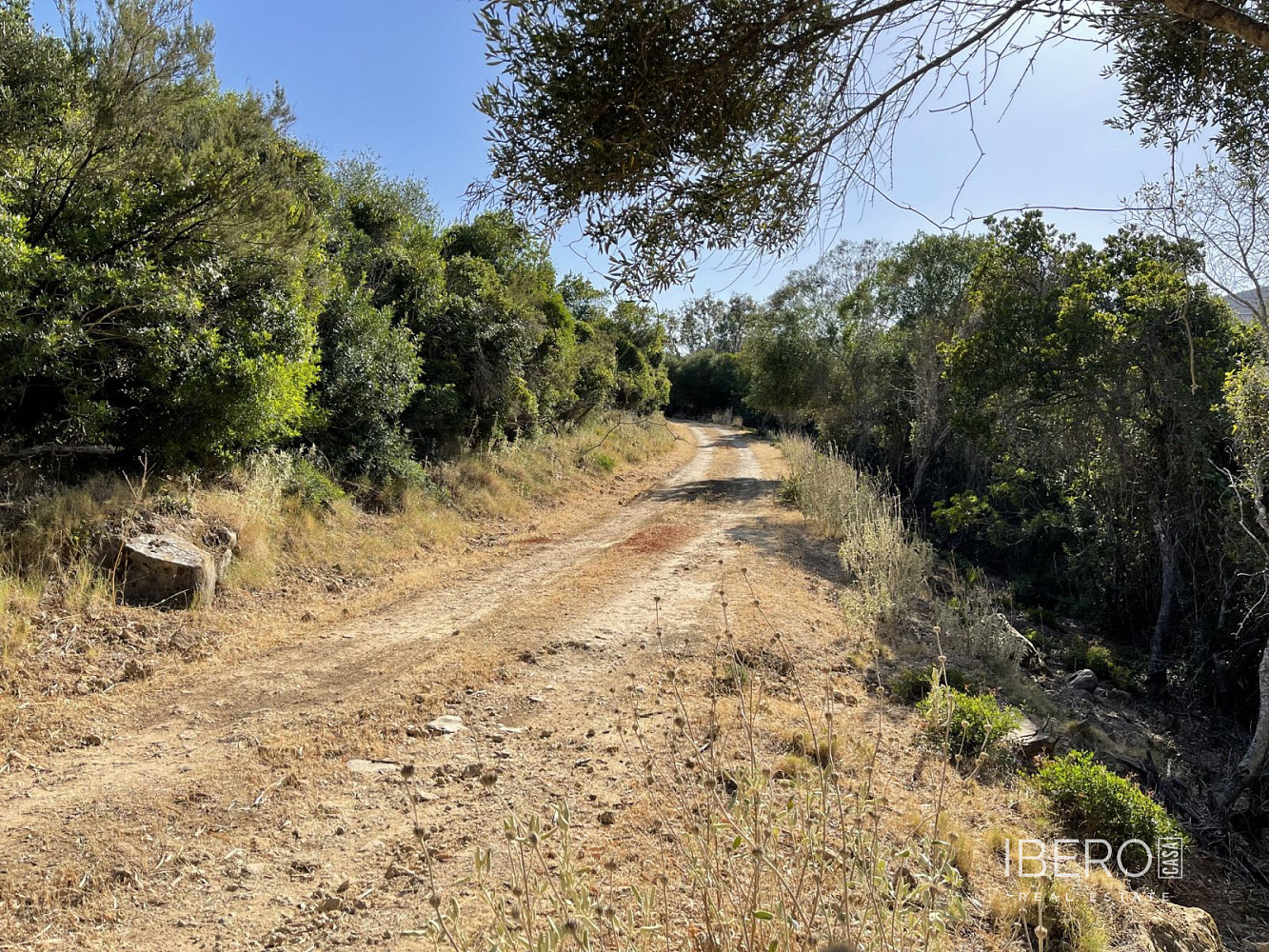 Casa 3+kk – Castellar Nuevo de la Frontera, La Almoraima - Vista 5