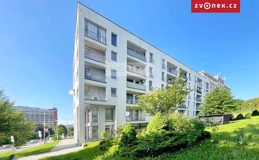 Pronájem bytu 1+kk 47 m², Březnická, Zlín