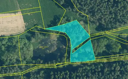 Prodej louky 2 963 m², Bor - Damnov, okres Tachov