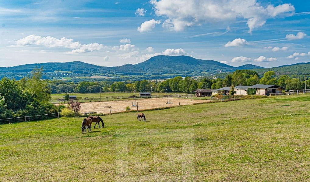 Prodej domu 400 m² s pozemkem 242 000 m², Malečov – náhled fotky 3