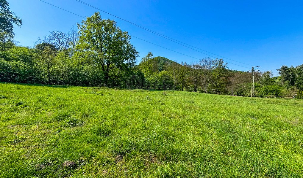 Prodej louky 1 543 m², Ústí nad Labem – náhled fotky 11