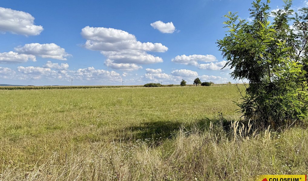 Prodej komerčního pozemku 8 168 m², Znojmo – náhled fotky 6