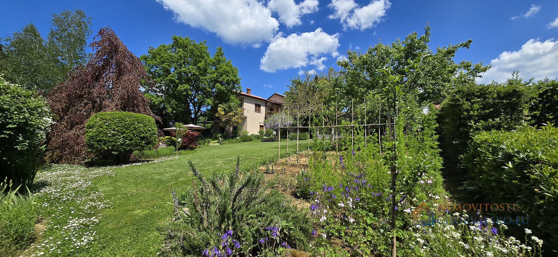 Prodej domu 200 m² s pozemkem 3 517 m² - Widok 6