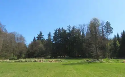 Dražba pole 13 684 m², Bavorov