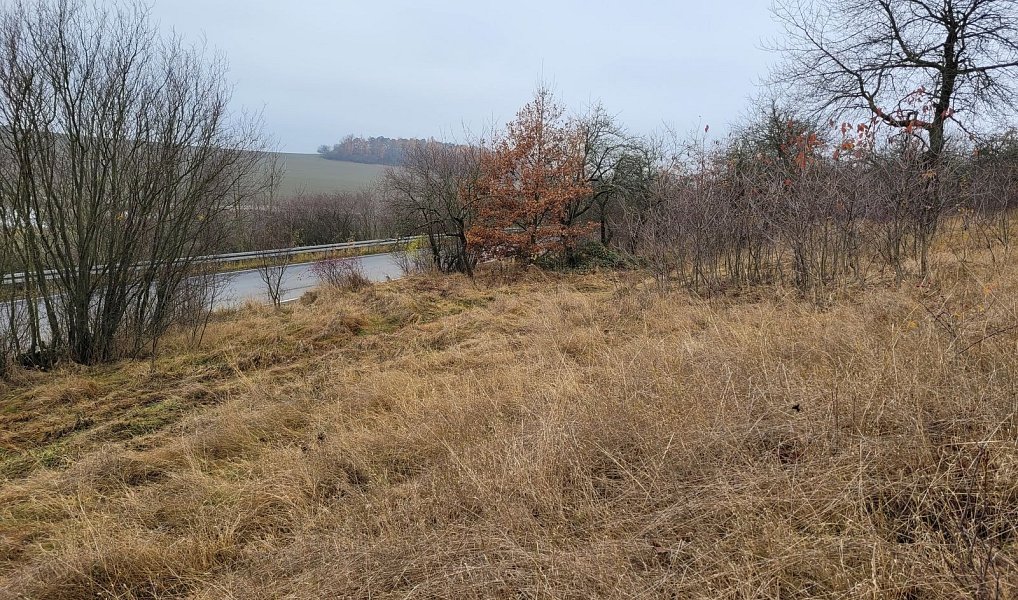 Prodej louky 6 483 m², Třebsko – náhled fotky 7