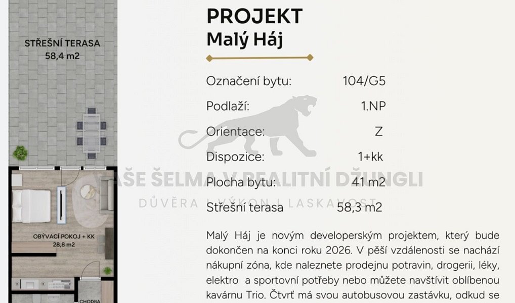 Prodej bytu 1+kk 41 m², Praha – náhled fotky 11
