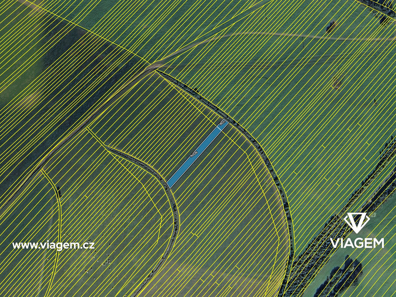 Prodej pole 1 517 m² – fotografie 4