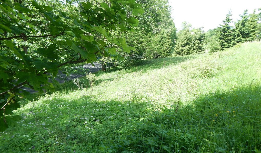Prodej zahrady 876 m², Vejprty – náhled fotky 8