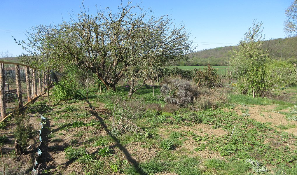 Prodej zahrady 1 392 m², Brno – náhled fotky 5