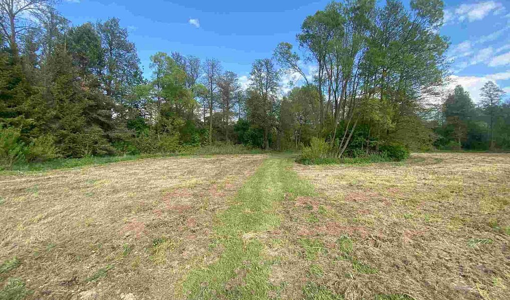 Prodej pozemku 7 130 m², Břidličná – náhled fotky 7