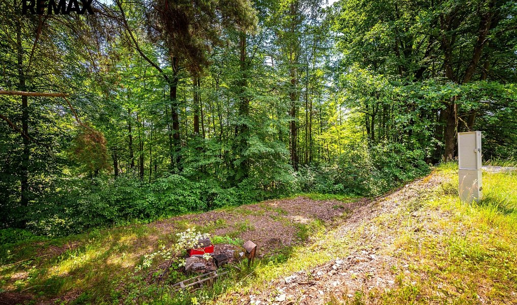 Prodej chaty/chalupy 50 m² s pozemkem 5 859 m², Komařice – náhled fotky 49
