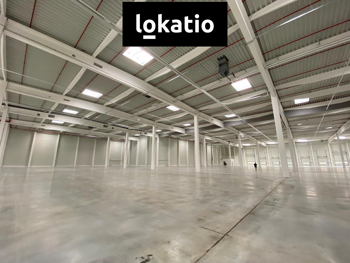Pronájem skladovacích prostor 3 700 m² — photo 3